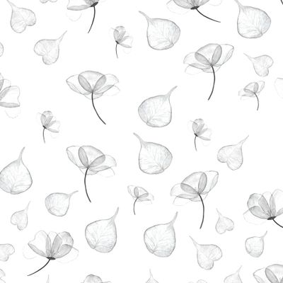 черно-белые цветы акварель
