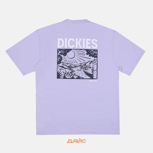 Футболка мужская Dickies Patrick Springs Tee  артикул:DK0A4YR7H181 - купить в магазине Дайс