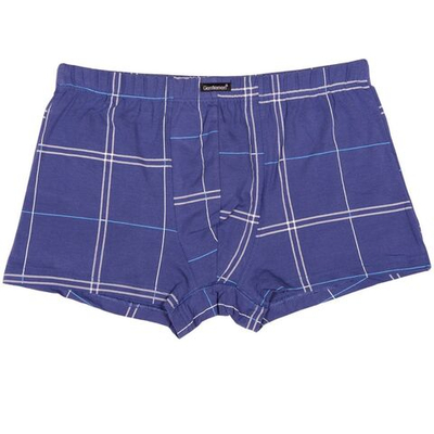 Мужские трусы-боксеры с полосками (Размер: XL) (Цвет: синий)