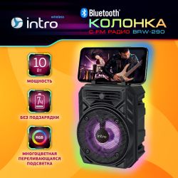 Портативная колонка Intro BRW290 bluetooth беспроводная акустическая черная
