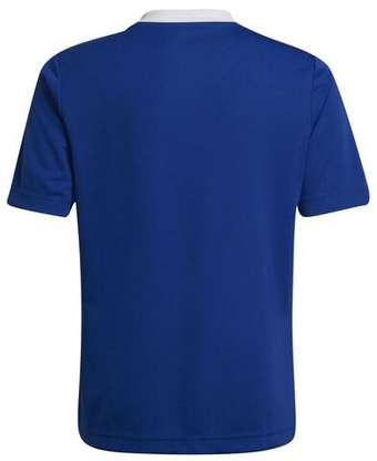 Футболка для мальчика теннисная Adidas Kids Entrada 22 Jersey - небесный