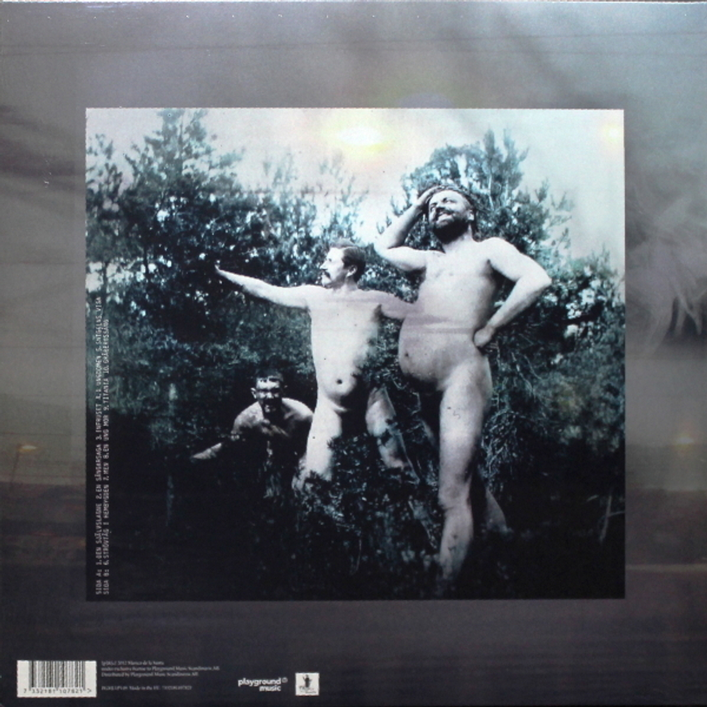 Mando Diao / Infruset (Clear Vinyl)(LP)