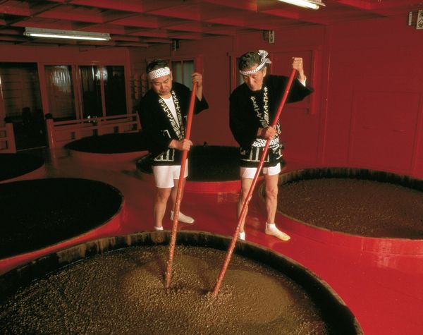 Соевый соус: история, виды, вкусы и секреты применения Соевый соус: история, виды, вкусы и секреты применения