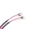 Tchernov Cable Classic XS SC Bn/Bn 2.65 m