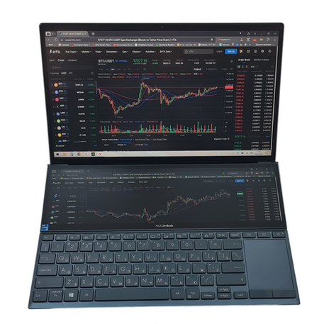 Ноутбук 14" ASUS ZenBook DUO 14 (UX482EG-HY199T)