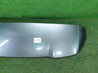 Спойлер крышки багажника Audi Q5 2 80A (2017-н.в.)