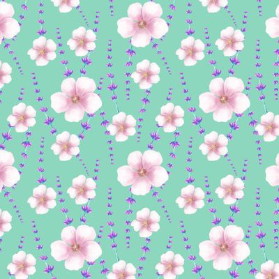 розовые цветы