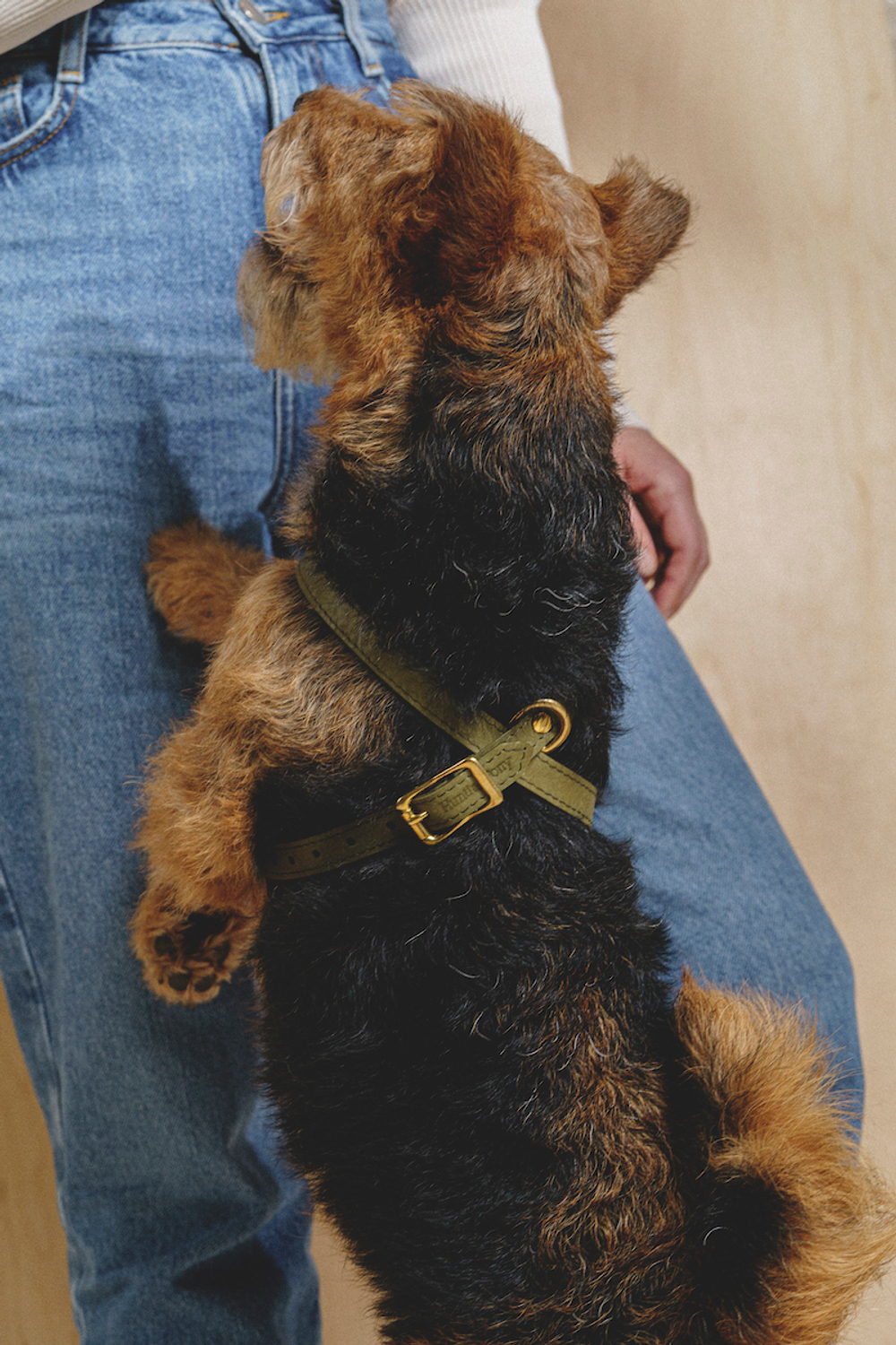 Цельнокожаная шлейка Зеленая