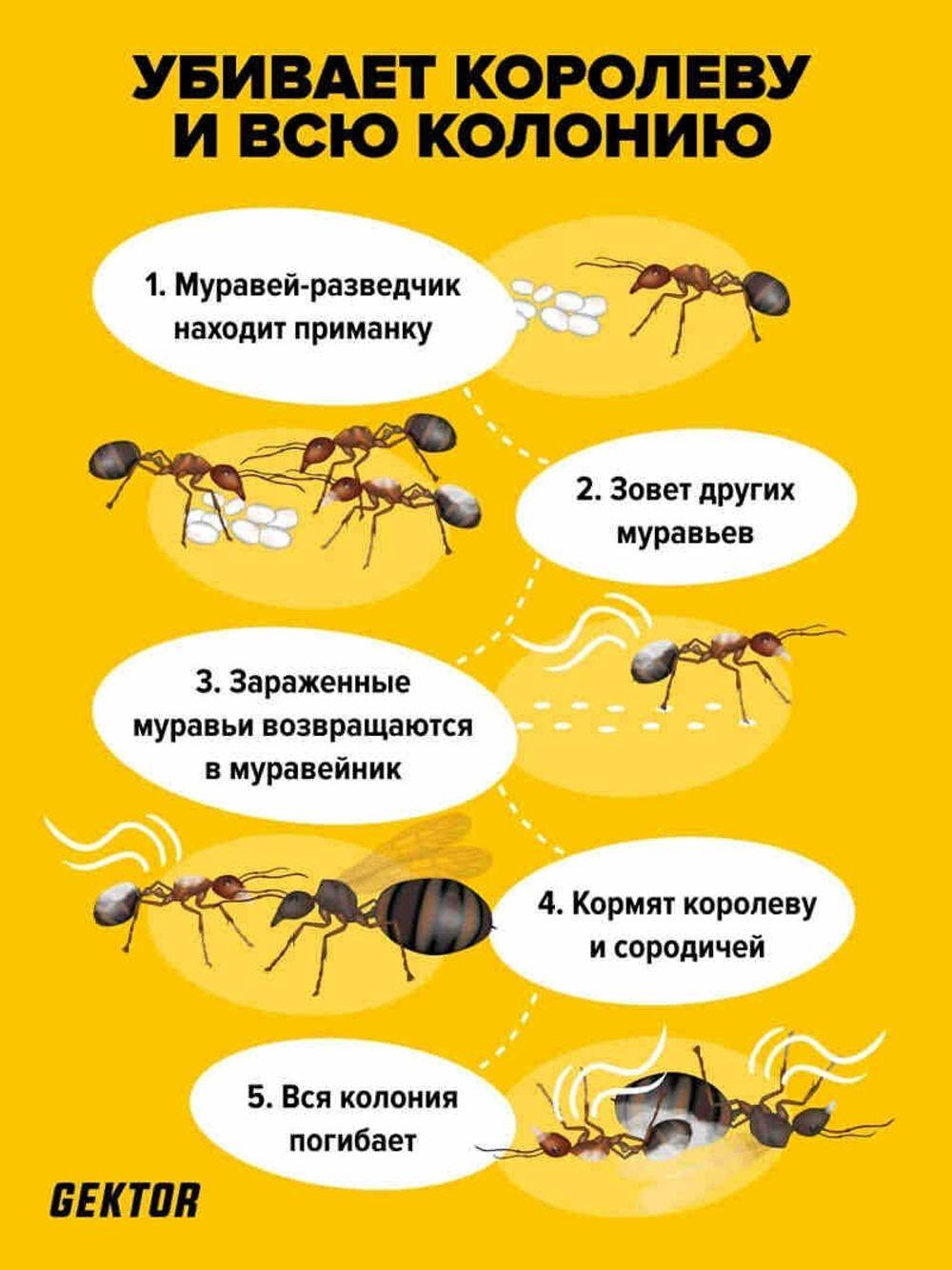 Гектор порошок от муравьев, 380 г