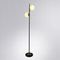 Торшер Arte Lamp Alcor A2224PN-2BK