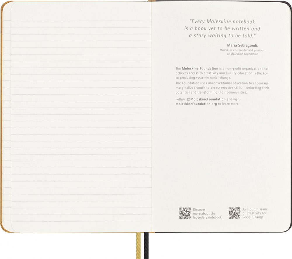 Блокнот Moleskine LE Year of the Dragon Large 130х210 мм текстиль 176 стр линейка золотистый Ahn Sang Soo (LECNYDRAGQP060ASNB)