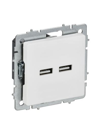 Розетка BRITE РЮ10-1-БрАБ USB A+A 3.1А механизм арктич. бел. IEK BR-U21-D31-K91