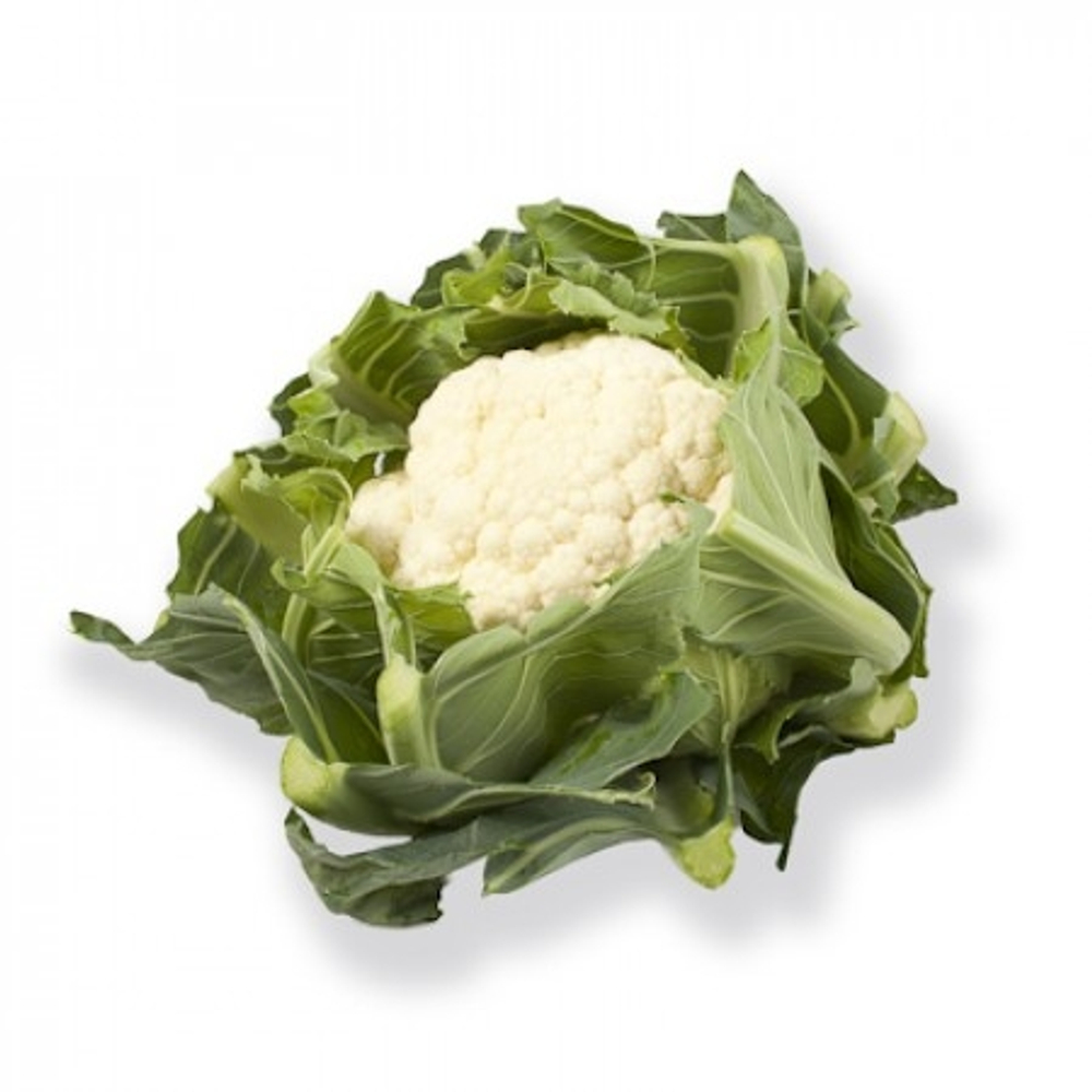 Пруденция F1 семена капусты цветной (Rijk Zwaan / Райк Цваан)