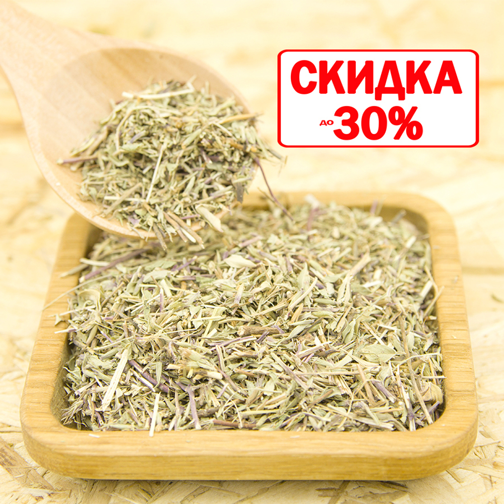 Зизифора (трава)