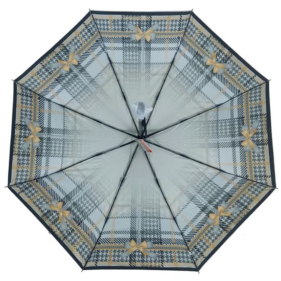 Зонт с серебристым куполом Рисунок внутри 3855-D-03