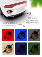 Наклейка автомобильная Белка выглядывает на прозрачном фоне