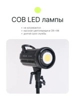 Комплект постоянного света Raylab RL-100 Kit 5600К светодиодный