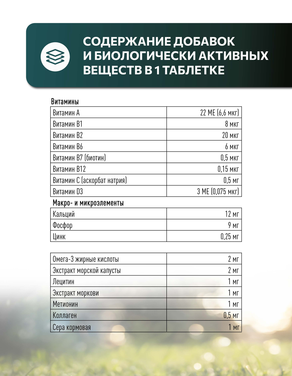 Vita+ мультивитаминное лакомство для собак Здоровая кожа и красивая шерсть, 90 таблеток