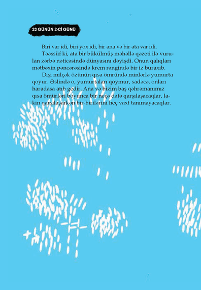 Bir milçəyin tərcümeyi-halı