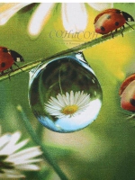 Пододеяльник 2 спальный бязь хлопок