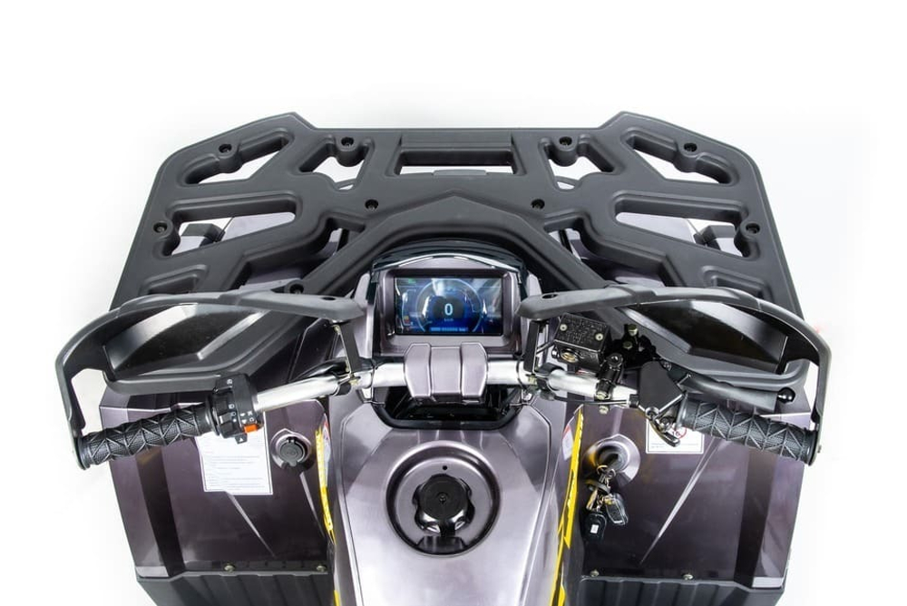 Квадроцикл MOTOLAND 200 Wild Track X Pro (2022)