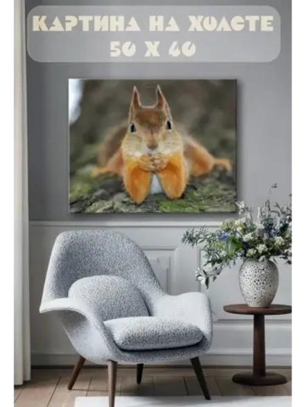 Картина на стену 40 X 50 Белка