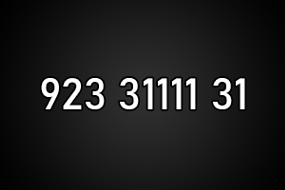 9233111131
