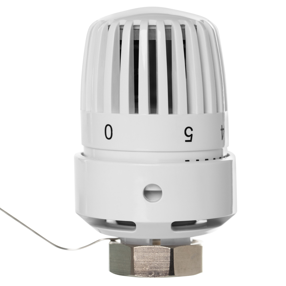 Термоголовка жидкостная Royal Thermo BASIC с выносным датчиком М30х1,5