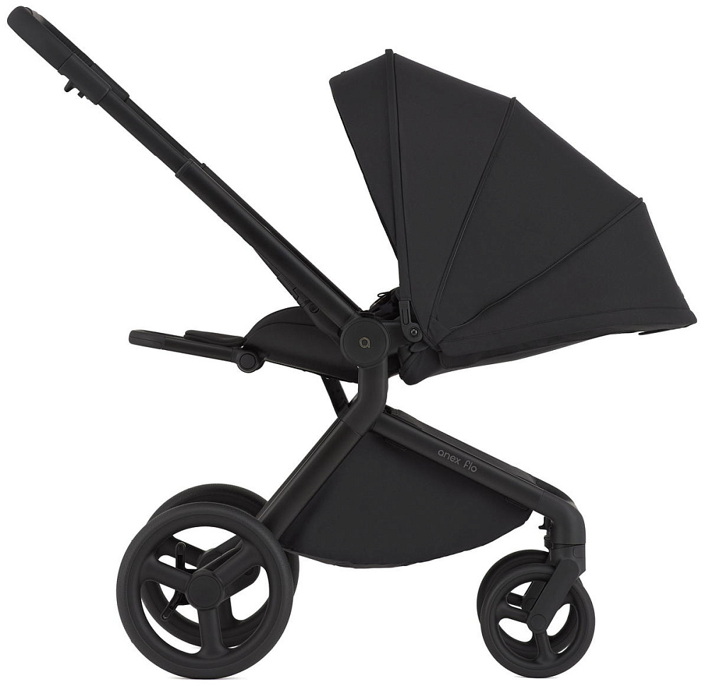 Детская коляска Anex Flo 2 в 1 Lungo