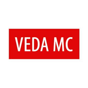 Преобразователи частоты с высокой перегрузкой VEDA VFD  VF-101