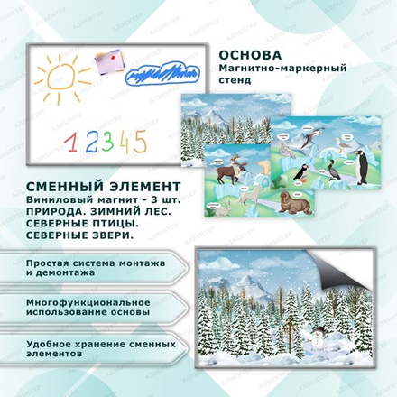 Комплект развивающий ПРИРОДА. ЗИМНИЙ ЛЕС. СЕВЕРНЫЕ ЗВЕРИ. СЕВЕРНЫЕ ПТИЦЫ. 2197
