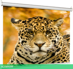 Проекционный экран Lumien Eco Picture (LEP-100101)