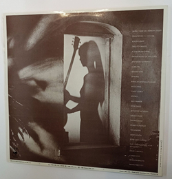 Винтажная виниловая пластинка Al Di Meola Splendido Hotel 2LP (Spain 1980)