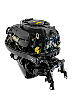 Лодочный мотор Риф Райдер Reef Rider RREF30FES-T (2-cyl.)