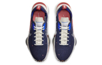 Кроссовки Nike Air Zoom Type