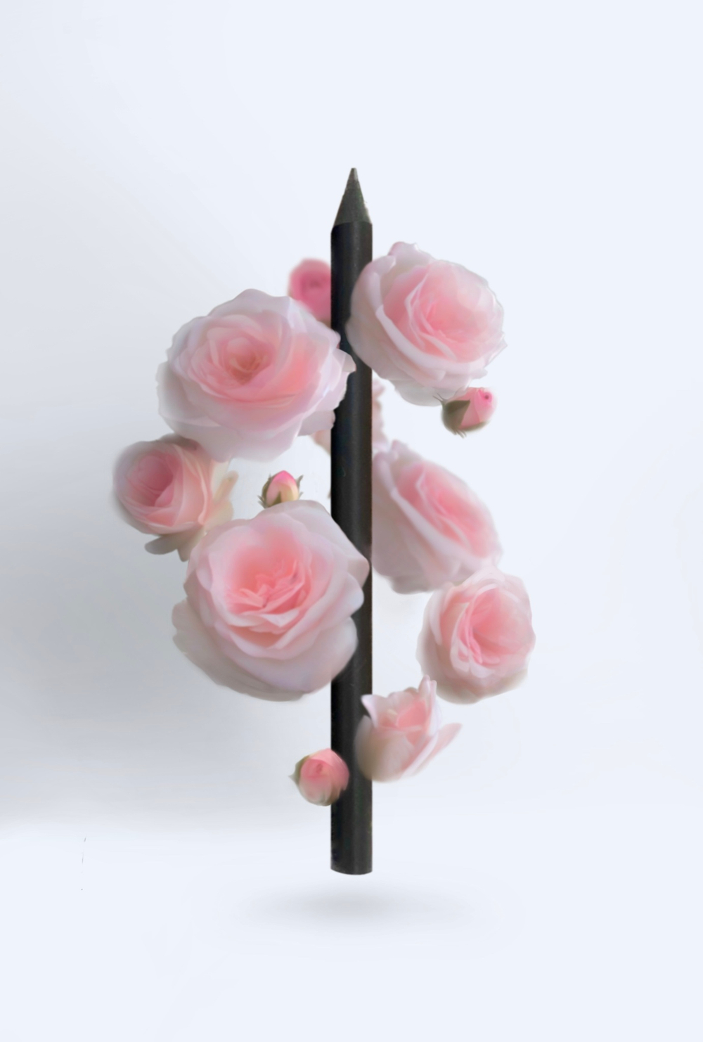 Карандаши чернографитные HB с ароматом розы Fine Line Graphite 6 штук