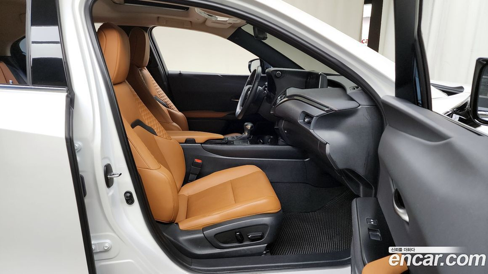 Lexus UX250h 2.0 2WD (01.2021)