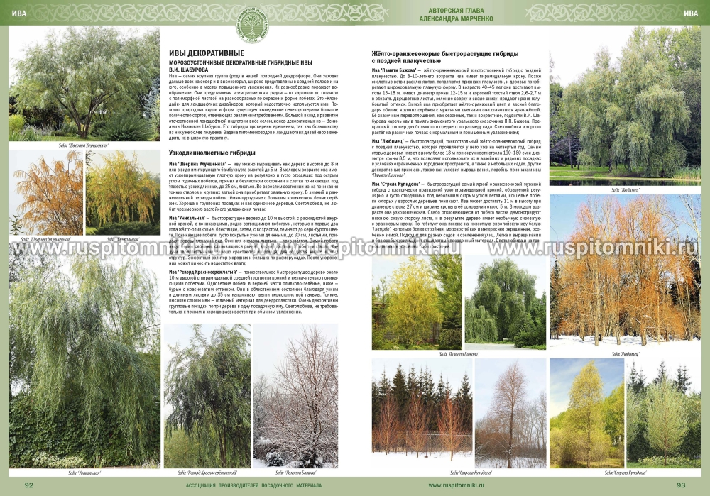 Каталог древесных растений. Деревья, кустарники, лианы