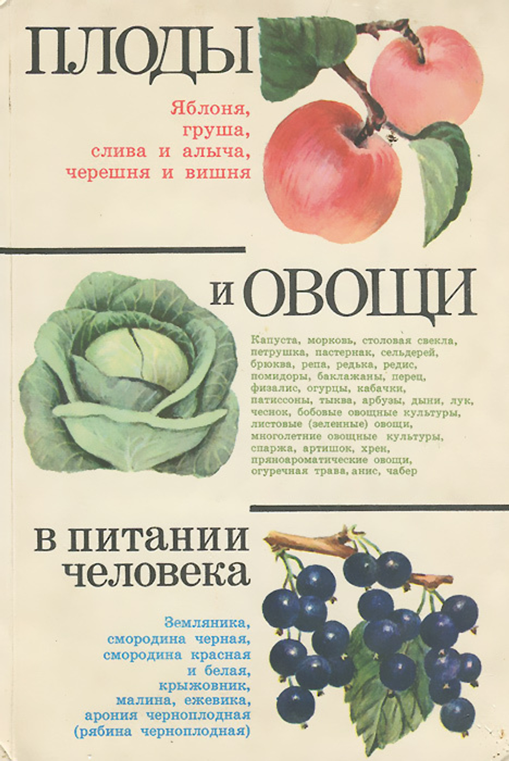 Плоды и овощи в питании человека