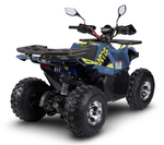 Квадроцикл Avantis Ray 8 Premium