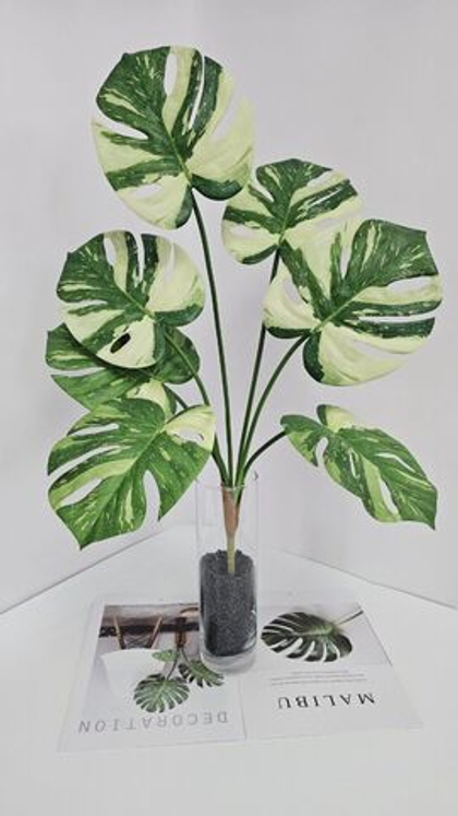 Монстера / Арт 6378