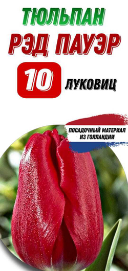 Тюльпан Луковица, Ред Поуэр, 10шт