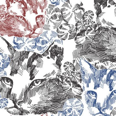 Графичные котики