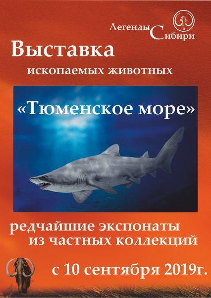 Выставка ископаемых животных &quot;Тюменское море&quot; открылась в Галерее сувениров &quot;Легенды Сибири&quot;