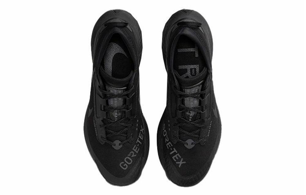 Кроссовки Nike Pegasus Trail 3 Gore-Tex "Black"