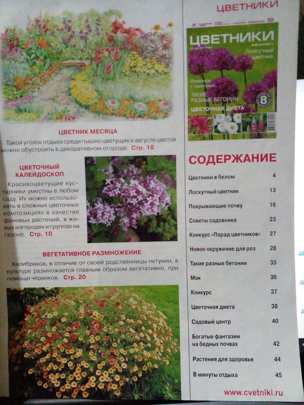 Журнал "Цветники" №8/2005