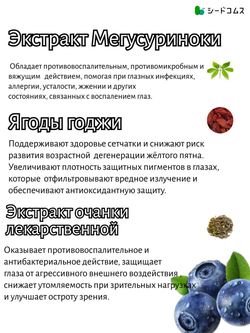 Черника SeedComs комплекс для поддержания зрения, 90капсул