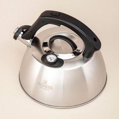 Чайник 2,8л нерж со свистком, индукция, встроенный термометр