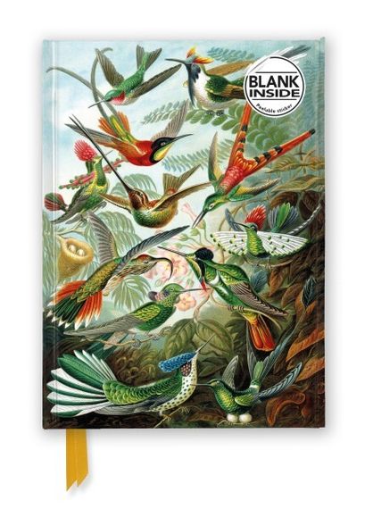 Bloknot \ Блокнот\ Notebook Ernst Haeckel: Hummingbirds (Foiled Blank Journal)
