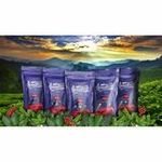 Кофе в зёрнах Nivona&Torrefacto Ethio, 1кг